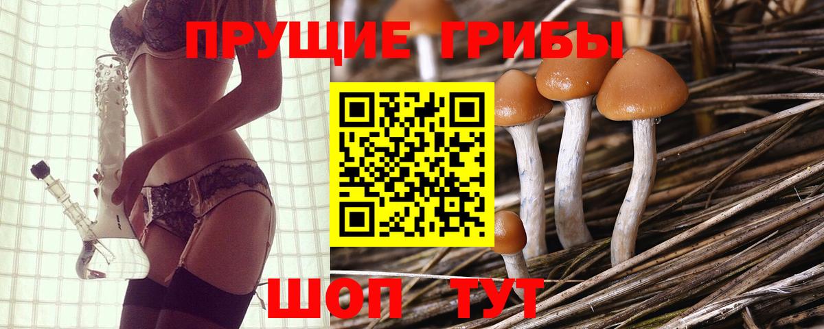 Галлюциногенные грибы мицелий Рубцовск
